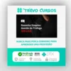 Gestão Faixa Preta - Resenha Simples