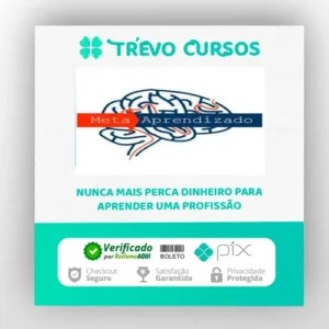 Meta Aprendizado Acelerado - Marcelo Maia