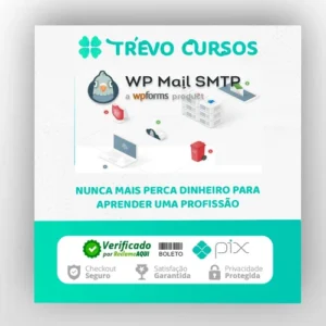 WP Mail SMTP PRO - v4.1.1 - Plugin