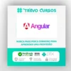 Curso Angular v2 ao v17 do Básico ao Profissional - Felipe da Silva Freitas
