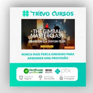 The Gimbal Masterclass - Brandon Li [INGLÊS]