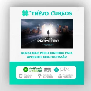 O Ano Prometido - Paulo Vieira