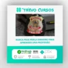 Polícia Federal (Perito - Área 3 - TI) - Estratégia Concursos