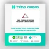 TJ MG - Analista Judiciário: Assistente Social Judicial - Gran Cursos Online