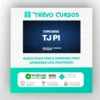 TJ PI: Analista Judiciário - Área Administrativa - Analista Judicial - Gran Cursos Online
