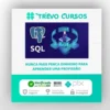 SQL Masterclass: SQL for Data Analytics (Legendado) - Start-Tech Academy [INGLÊS]