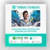 Introdução aos Quadrinhos - Felipe Nunes