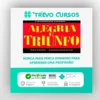 Editora Pensamento: Alegria e Triunfo - Lourenço Prado