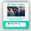 O Irlandês - Charles Brandt