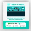 Organização Inteligente & Trabalho Eficiente - Vladimir Campos