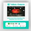 As 7 Virtudes dos Vencedores - Leoclides Marcon