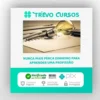 Aumente Seu Potencial Criativo - Equipe Cresça Brasil