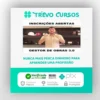 Gestor de Obras 3.0 - Felipe Soares (AZ construções)