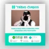Photostv: Guia Completo de Flashes Ttl Portatil e Radio - Eduardo Fuli