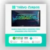 A Fantástica Fábrica de Lançamentos - Fernando Nogueira