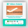 Checklist de Lançamento - Ana Paula Perci