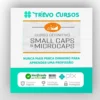 Como Investir Em Small Caps e Microcaps - Vicente Guimarães