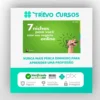 7 Nichos para Você Criar seu Negócio Online - Luiz Nicolak