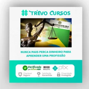 Direito Constitucional - Brasil Paralelo