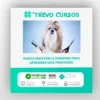 Banho e Tosa para Cães - Johnatan Skolimoski
