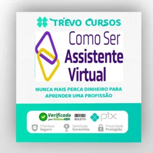 Como Ser Assistente Virtual - Camile Just