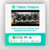 Curso de Treinamento Motor Zetec 1 8 16V - VideoCarro