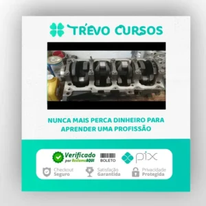 Curso de Treinamento Motor Zetec 1 8 16V - VideoCarro
