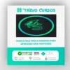 Curso Extjs 4 com Php - School of Net
