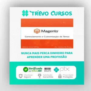 Curso Magento Gerenciamento e Customização de Temas - School of Net