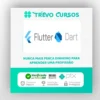 Dart e Flutter o Guia Completo do Desenvolvedor - Stephen Grider [Inglês]