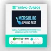 Mergulho Spring REST (2021) - Algaworks