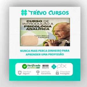 Introdução à Psicologia Analítica - Jung na Prática