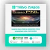 PNL Avançada - Dr Paulo Valzacchi