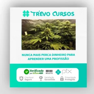 Cultivo Indoor de Plantas Medicinais - Jean Silva