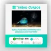 Lucid Dreaming : Bespoke Training with a Personal approach - Peter Torok