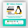O Guia Completo de Bash Shell Scripting - Richard Böhm [INGLÊS]