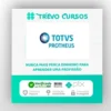 TOTVS Protheus: Infraestrutura - Diversos Autores