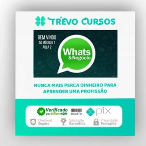Como Vender Mais Usando o Whatsapp - Luiz Felipe Castro